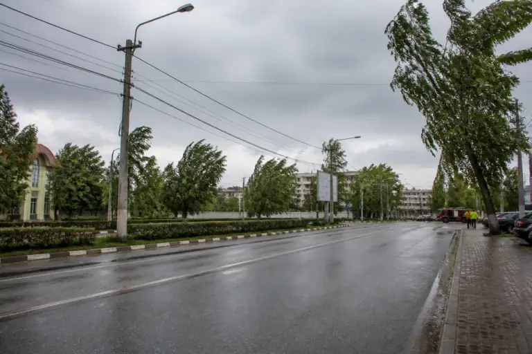 Cod galben de vânt în județul Botoșani. Rafale de până la 70 km/h