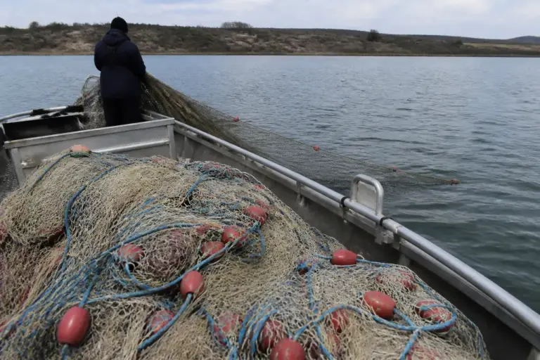 Trei pescari comerciali, verificați pe apă la Stânca. Amenzi de 35.000 de lei